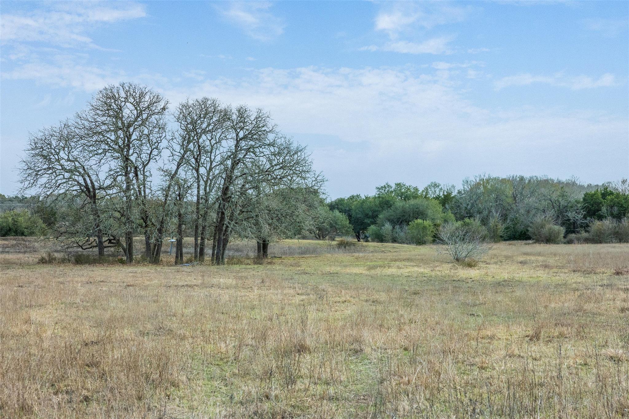 1310 N Nassau Rd, Round Top, TX 78954