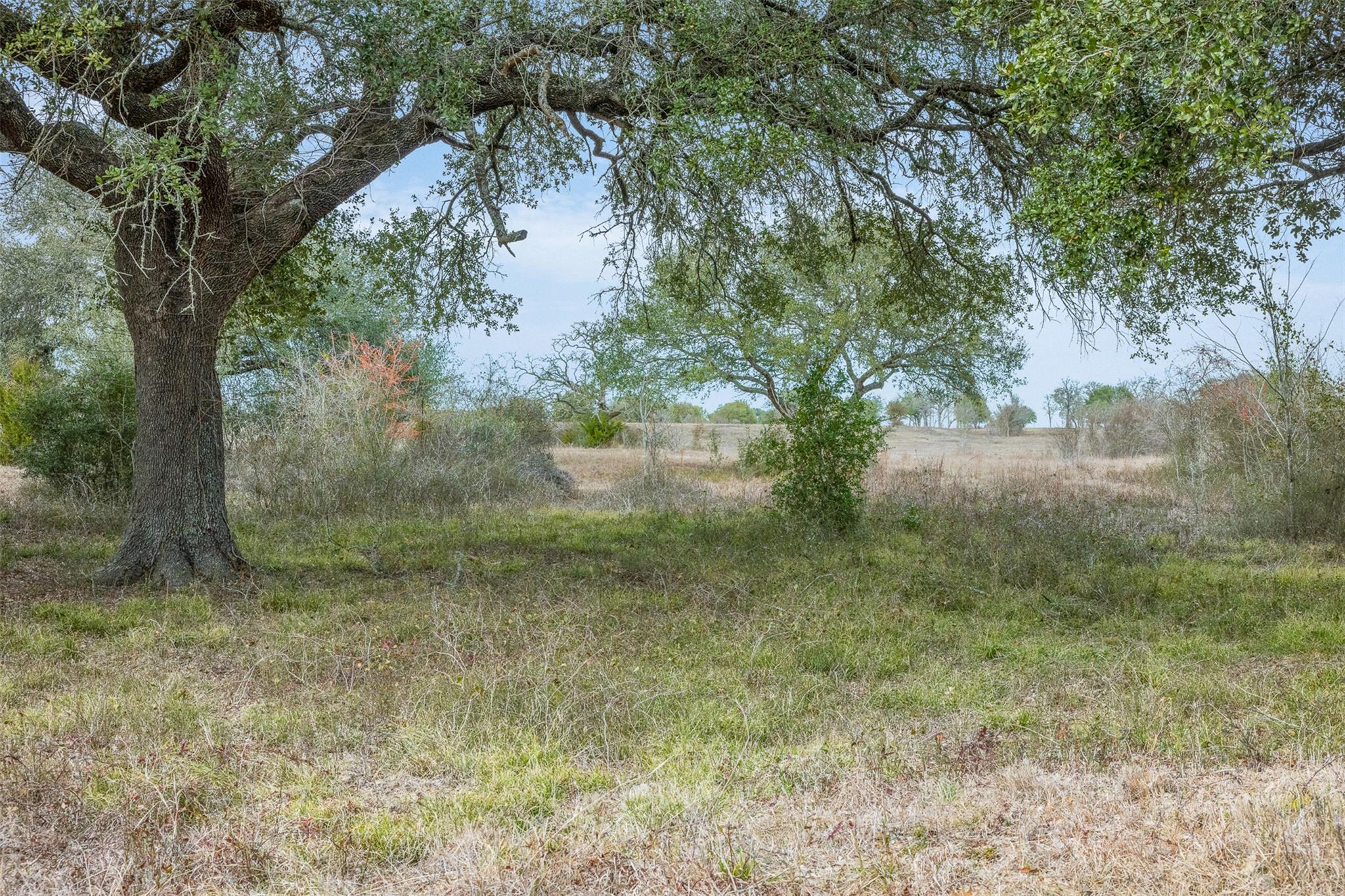 1310 N Nassau Rd, Round Top, TX 78954