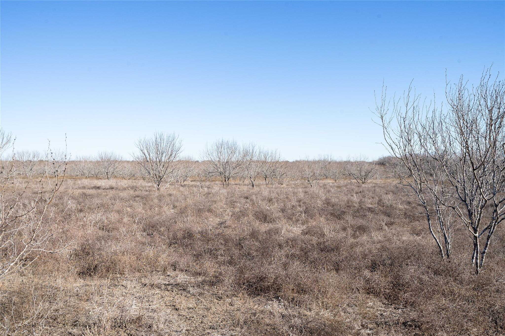 TBD Richards Dr, Del Valle, TX 78617