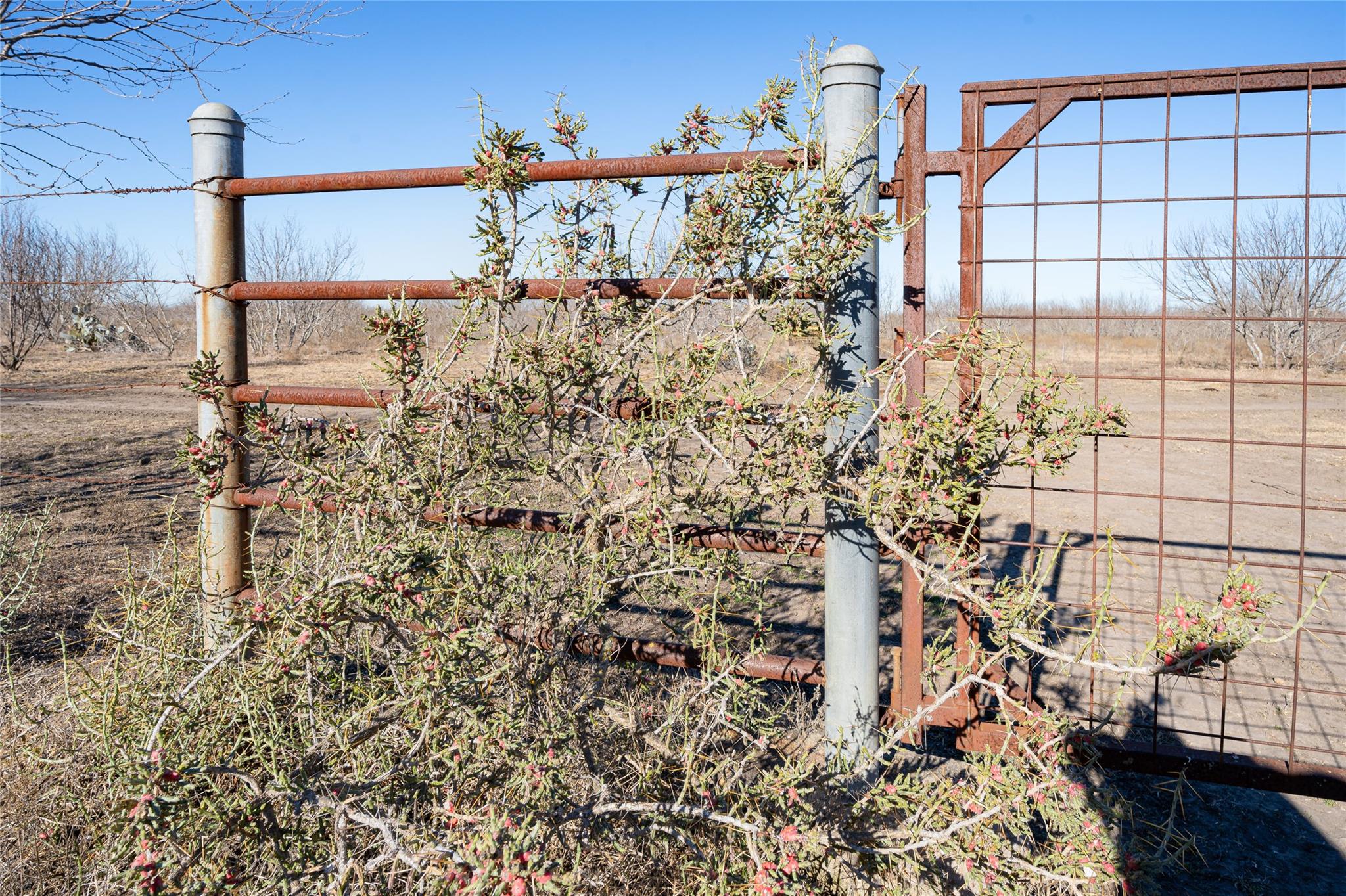 TBD Richards Dr, Del Valle, TX 78617