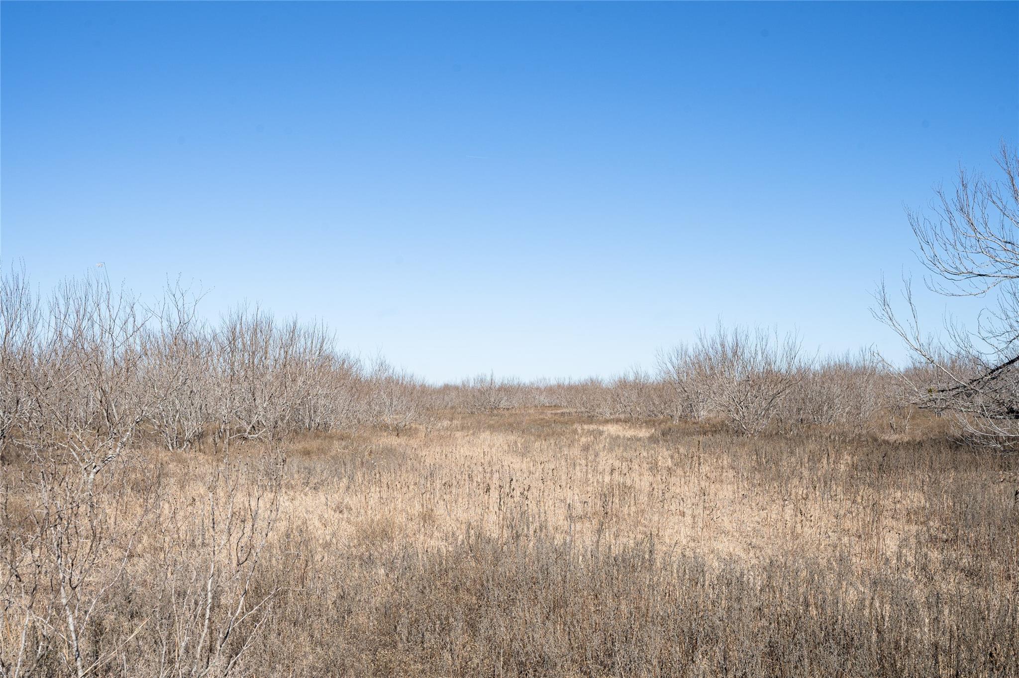 TBD Richards Dr, Del Valle, TX 78617