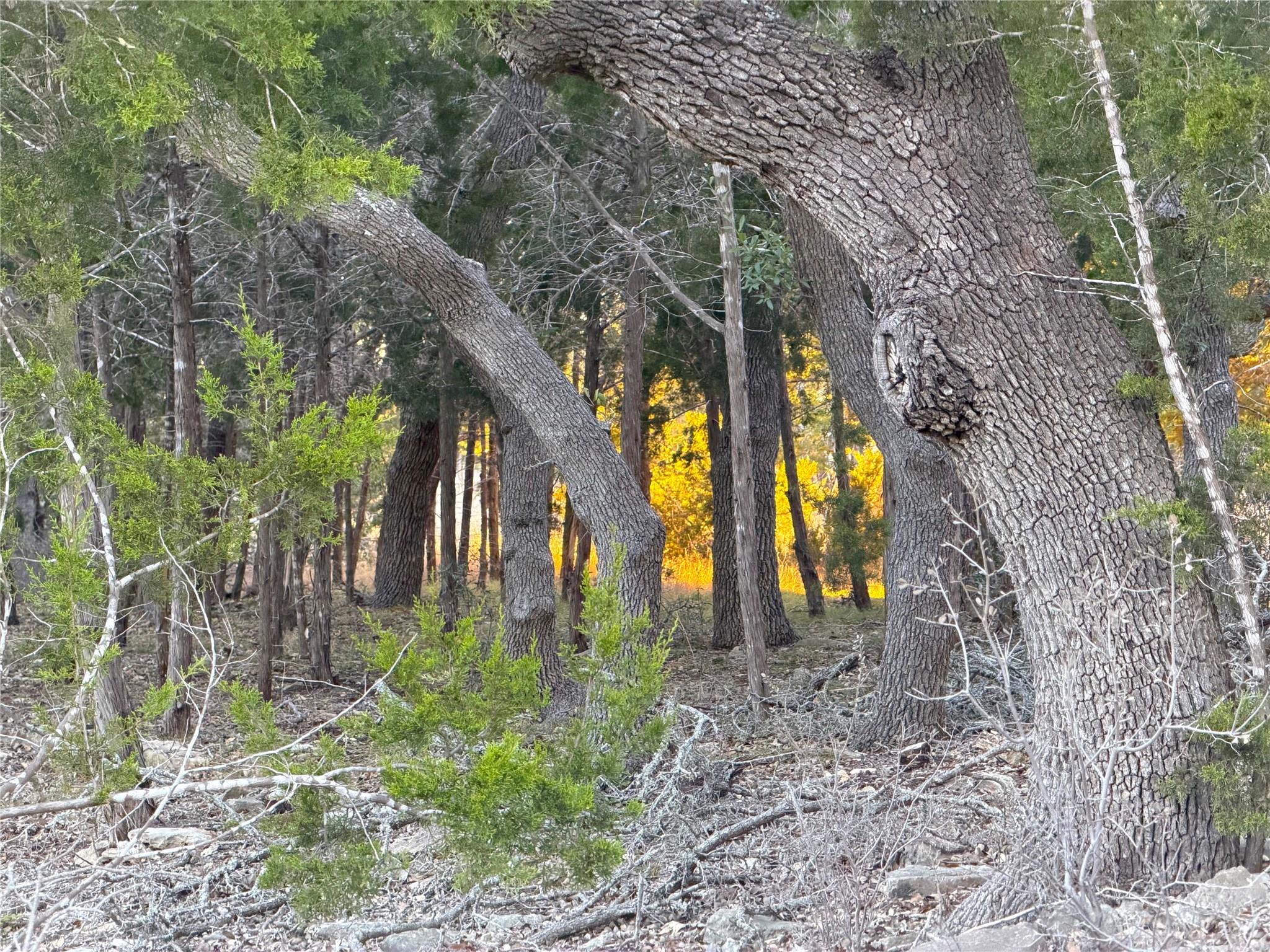 209 Legacy Rdg, Canyon Lake, TX 78133