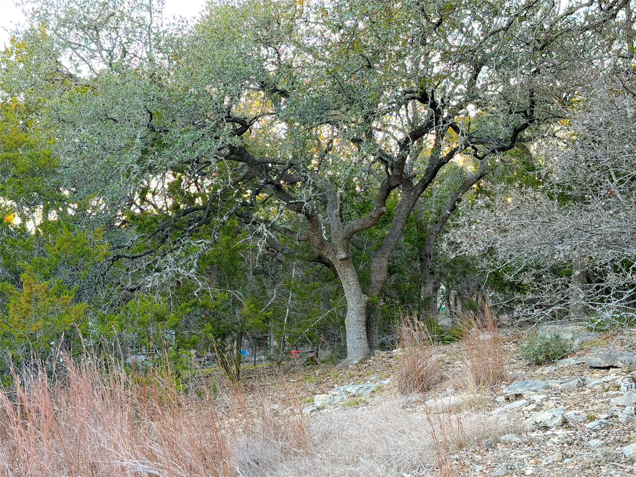 209 Legacy Rdg, Canyon Lake, TX 78133