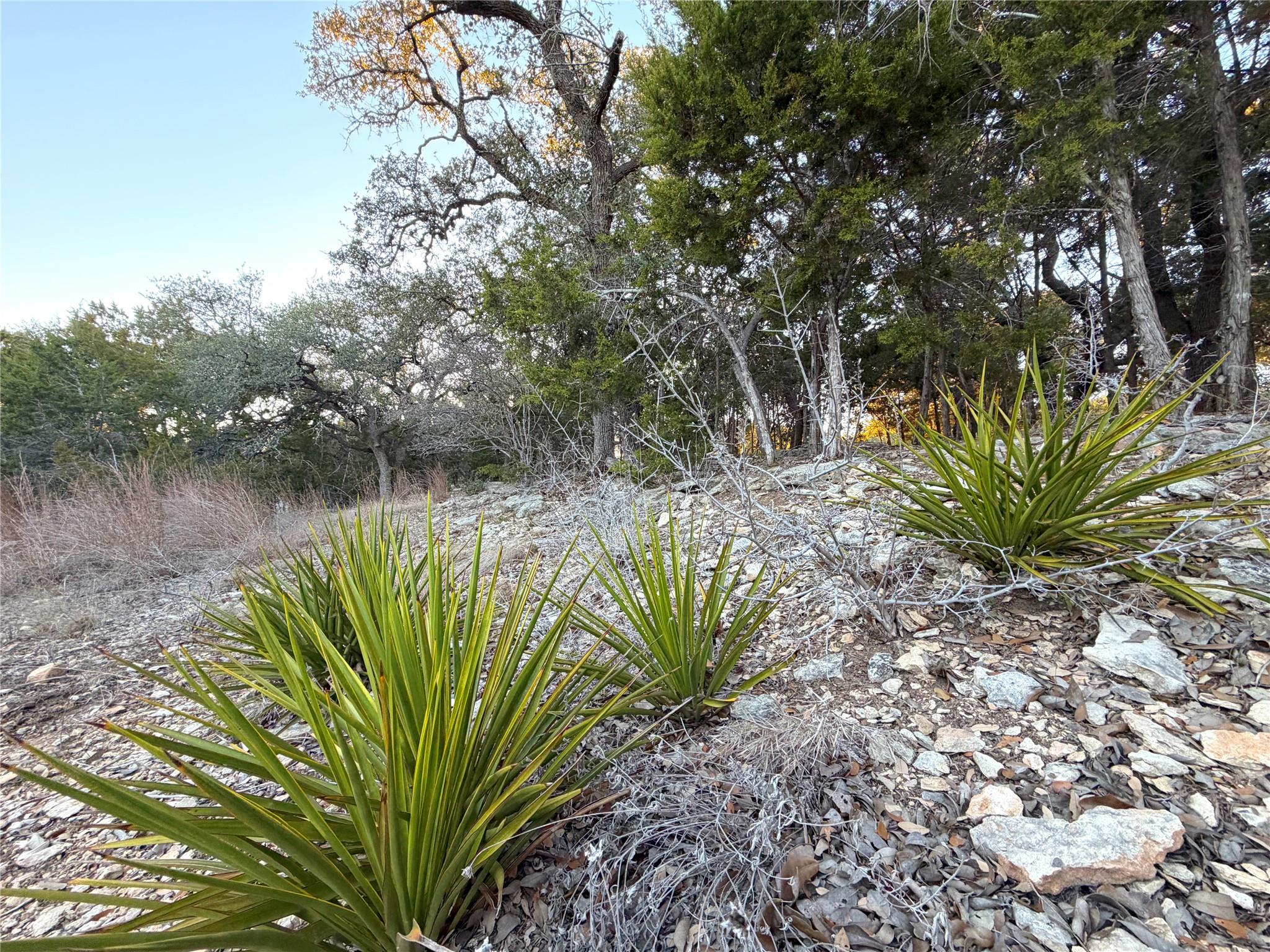 209 Legacy Rdg, Canyon Lake, TX 78133