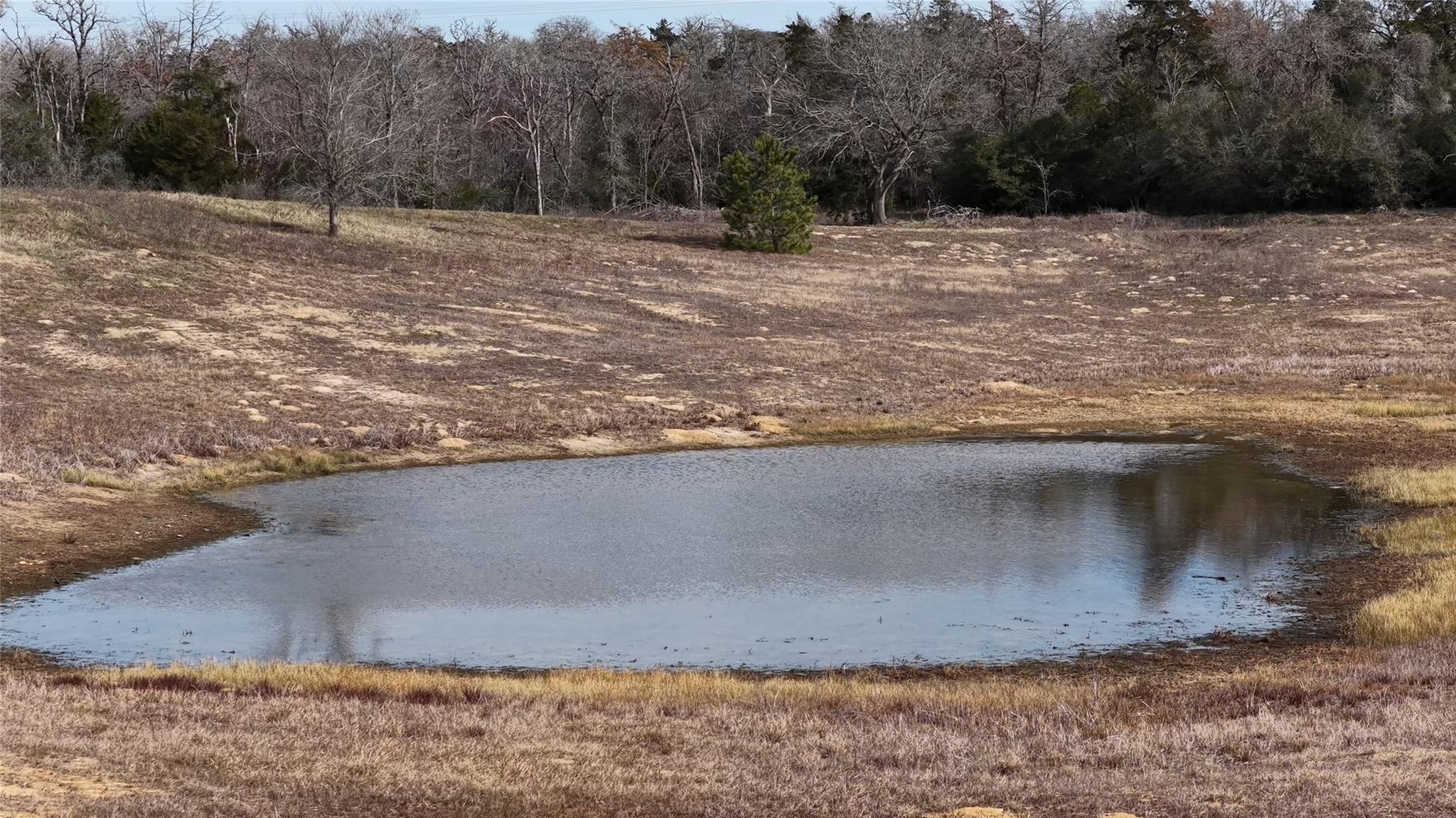 218 Little Ranch Rd # E, Red Rock, TX 78662