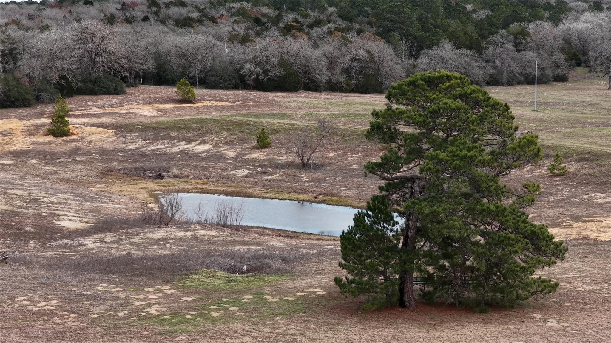 218 Little Ranch Rd # E, Red Rock, TX 78662