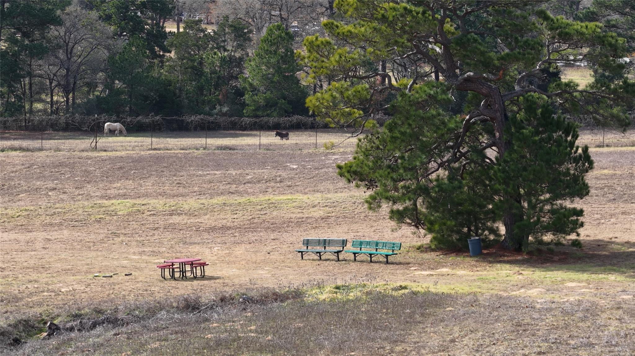 218 Little Ranch Rd # E, Red Rock, TX 78662