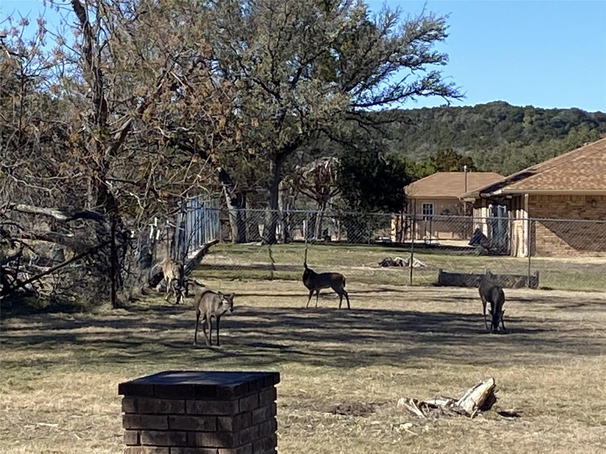 2111 Chinaberry Cir, Harker Heights, TX 76548