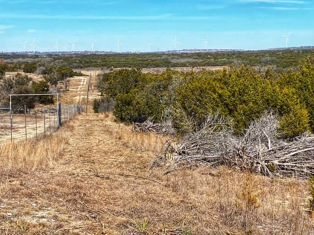 000 County Road 2699, Goldthwaite, TX 76853