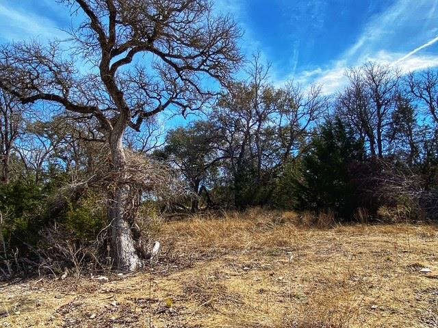 000 County Road 2699, Goldthwaite, TX 76853