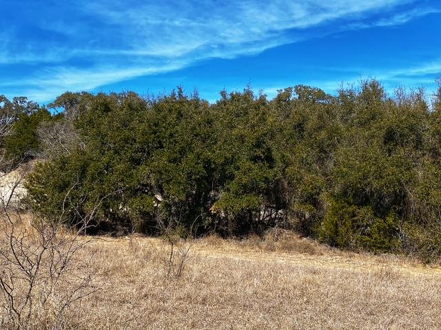 000 County Road 2699, Goldthwaite, TX 76853