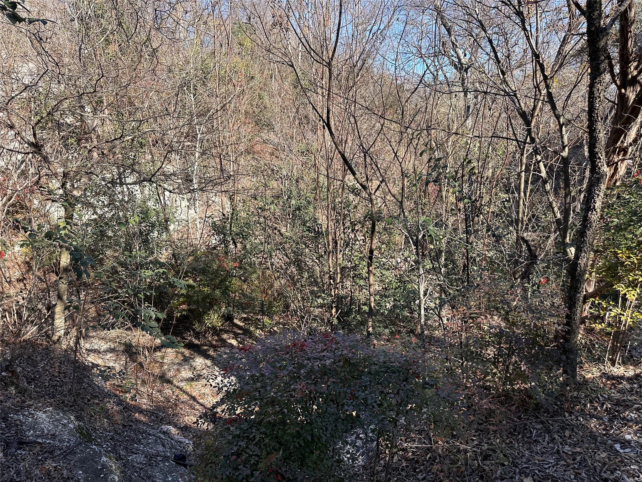 TBD Cedar Valley Cv, Austin, TX 78753