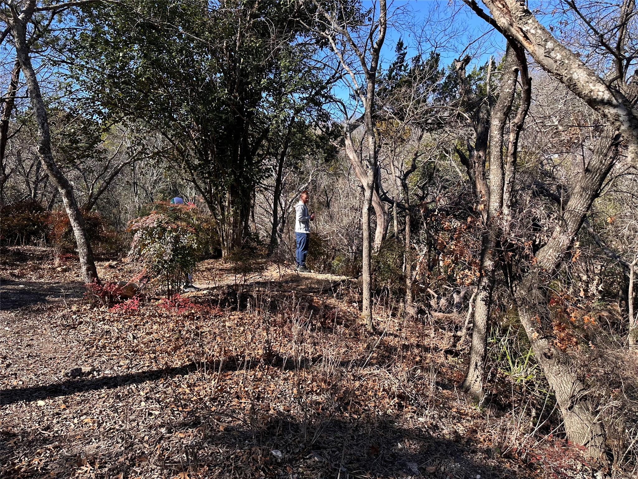 TBD Cedar Valley Cv, Austin, TX 78753