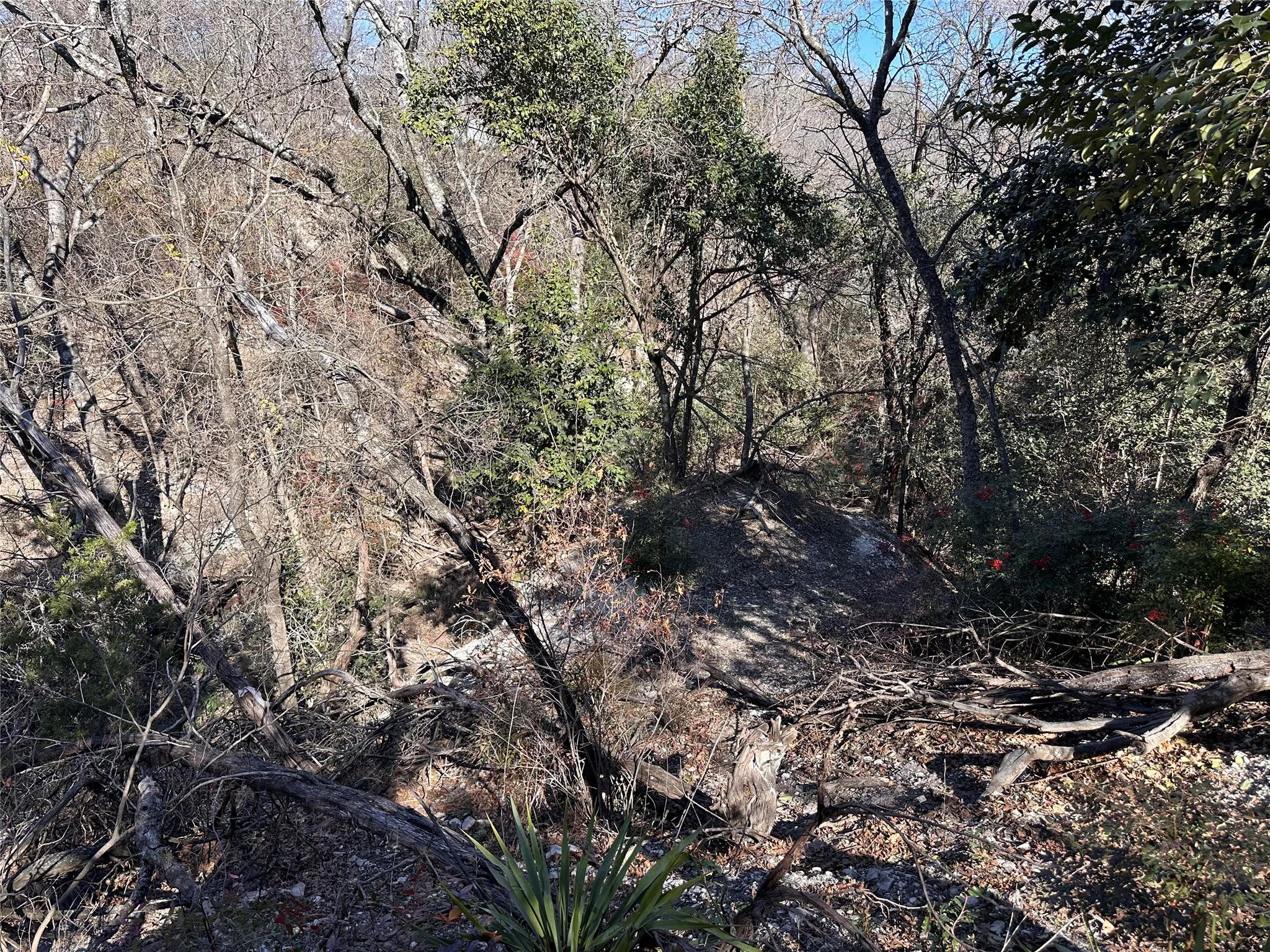 TBD Cedar Valley Cv, Austin, TX 78753