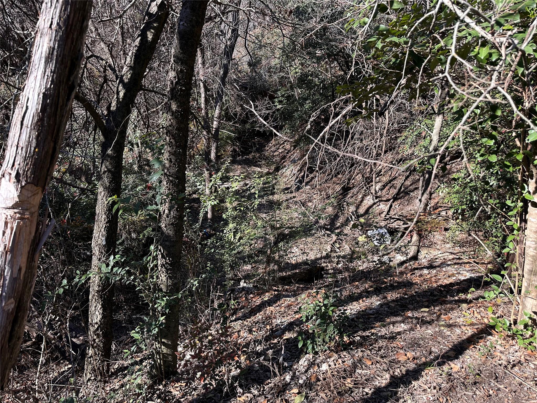 TBD Cedar Valley Cv, Austin, TX 78753