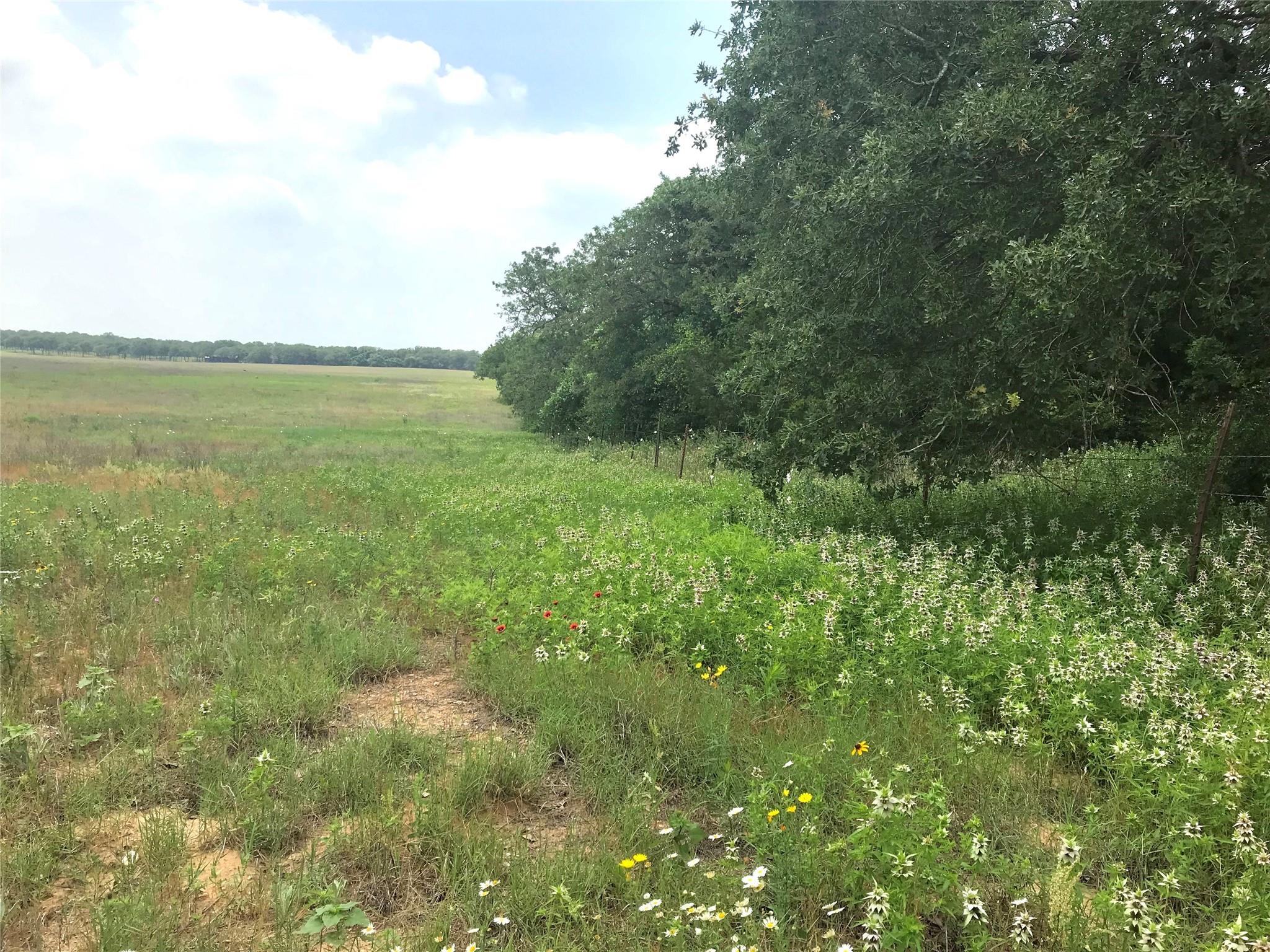 1672 Sayers Rd # Tract 1, Bastrop, TX 78602