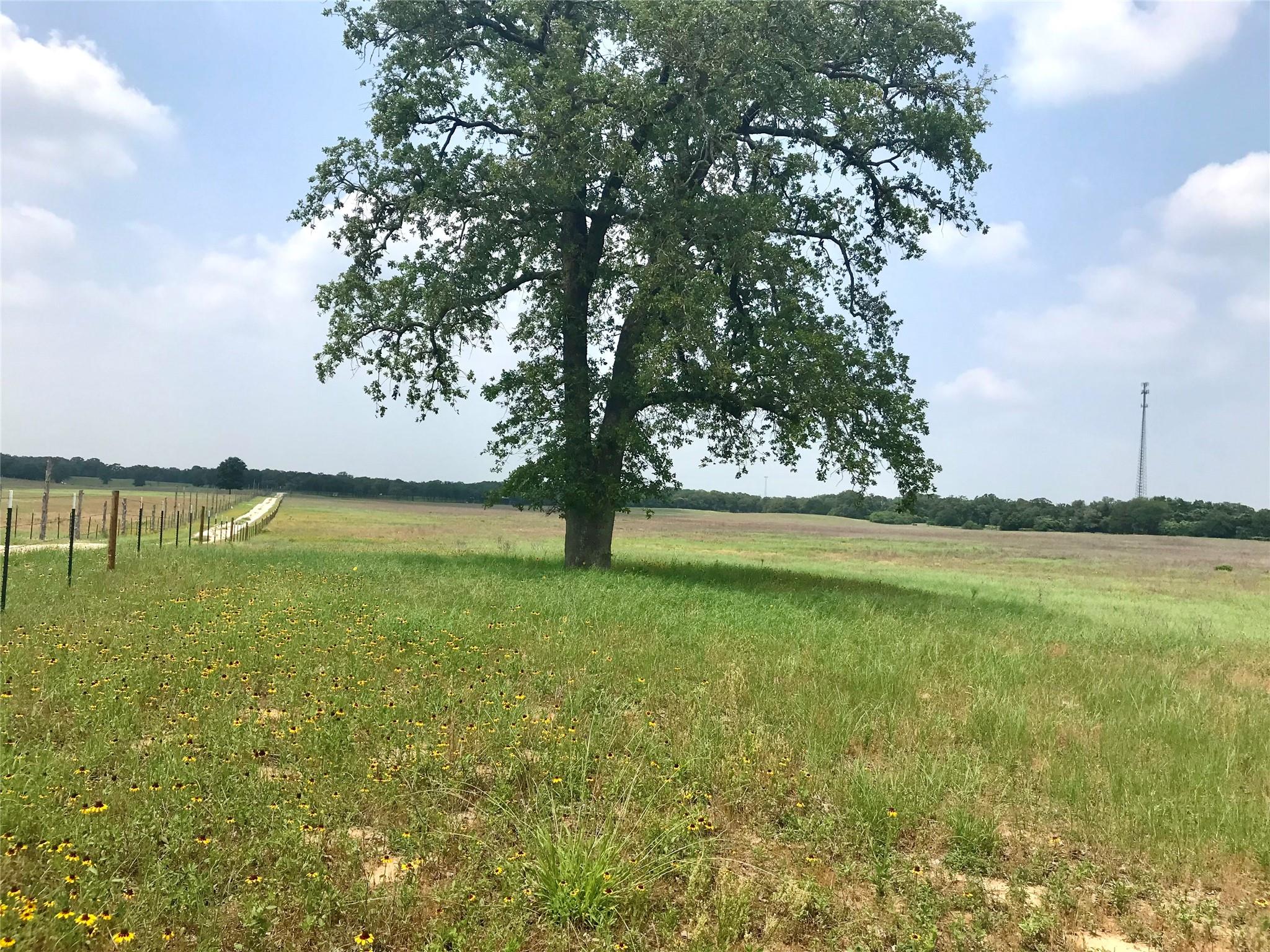1672 Sayers Rd # Tract 1, Bastrop, TX 78602