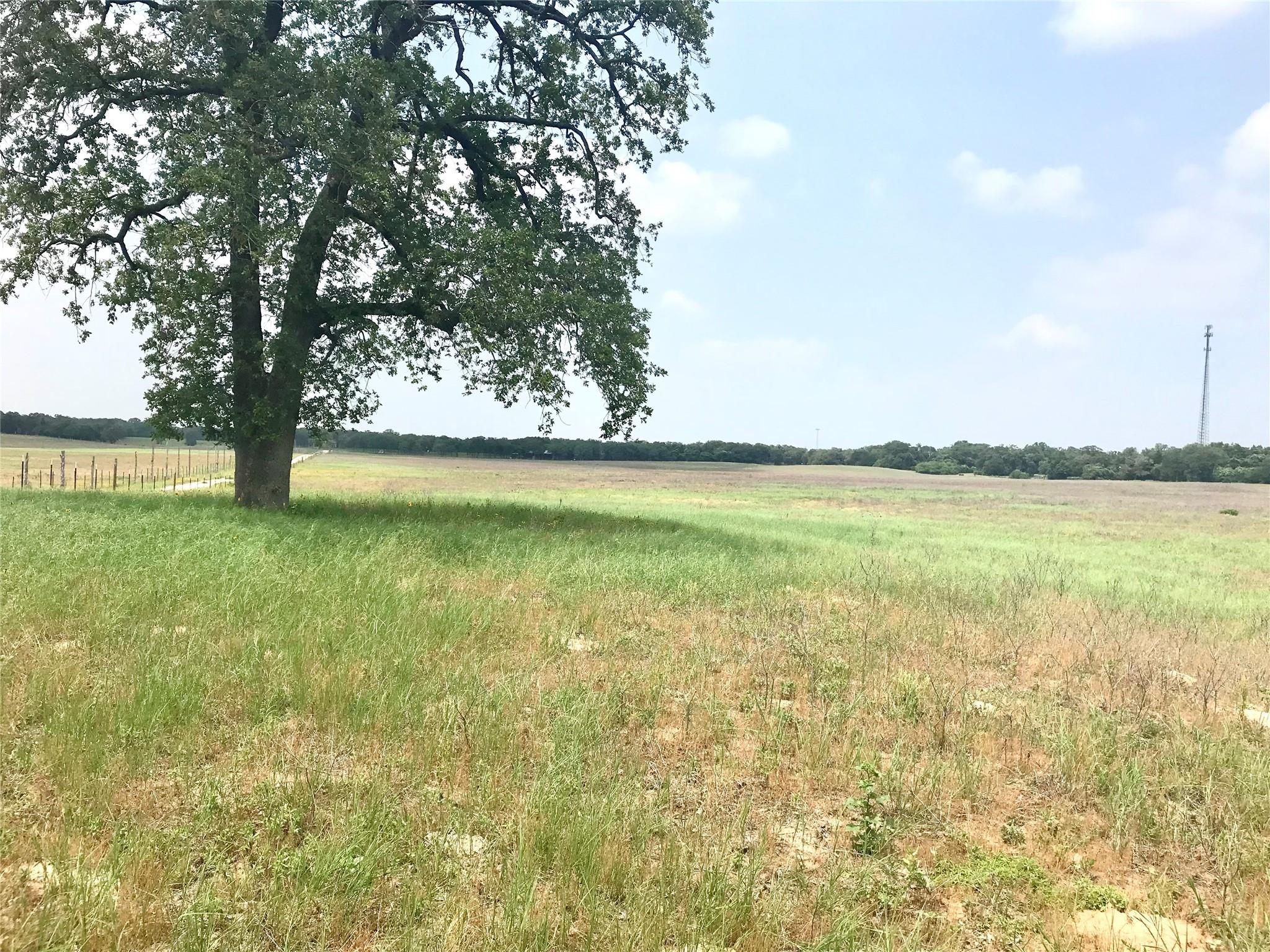 1672 Sayers Rd # Tract 1, Bastrop, TX 78602