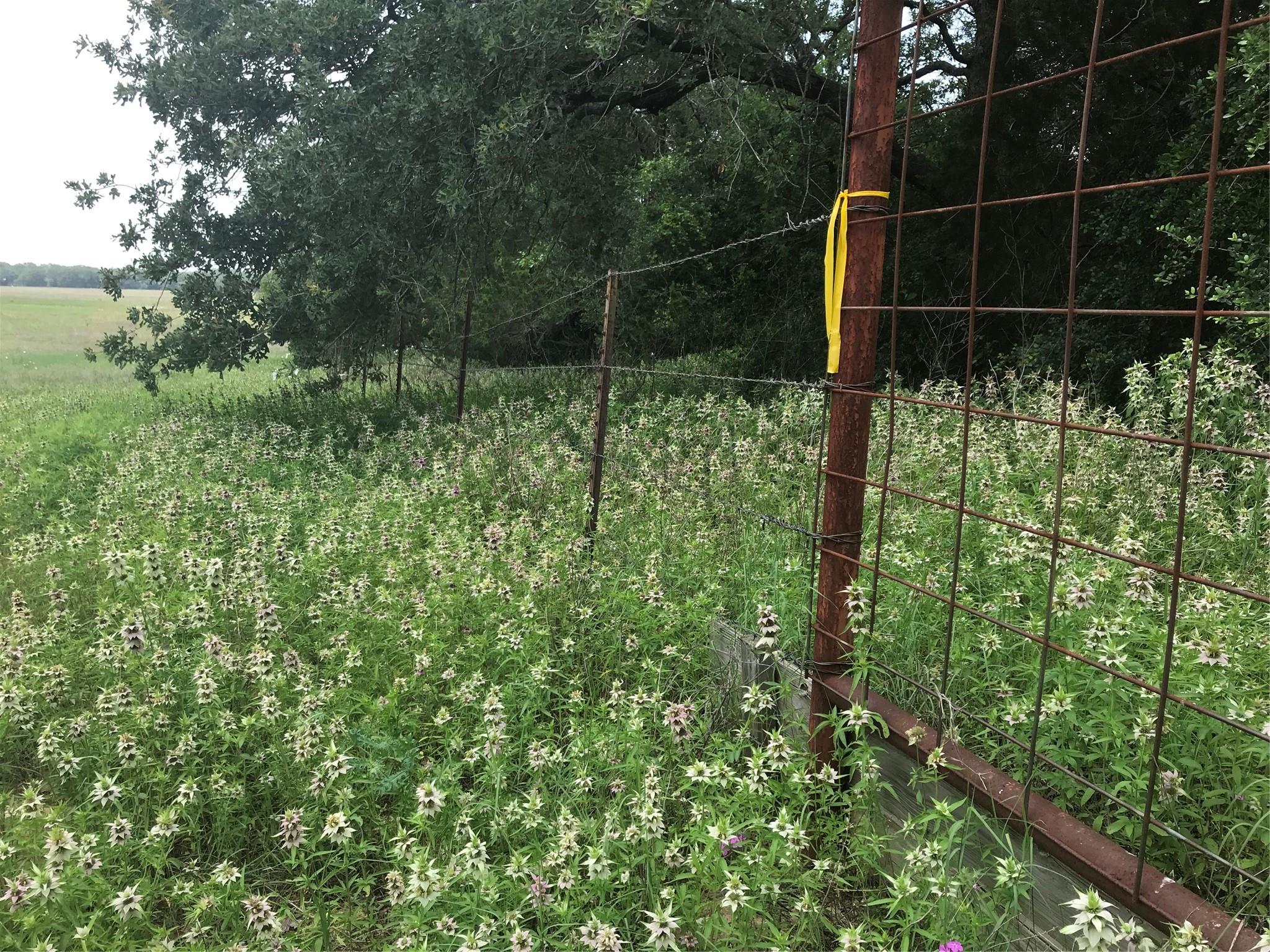 1672 Sayers Rd # Tract 1, Bastrop, TX 78602