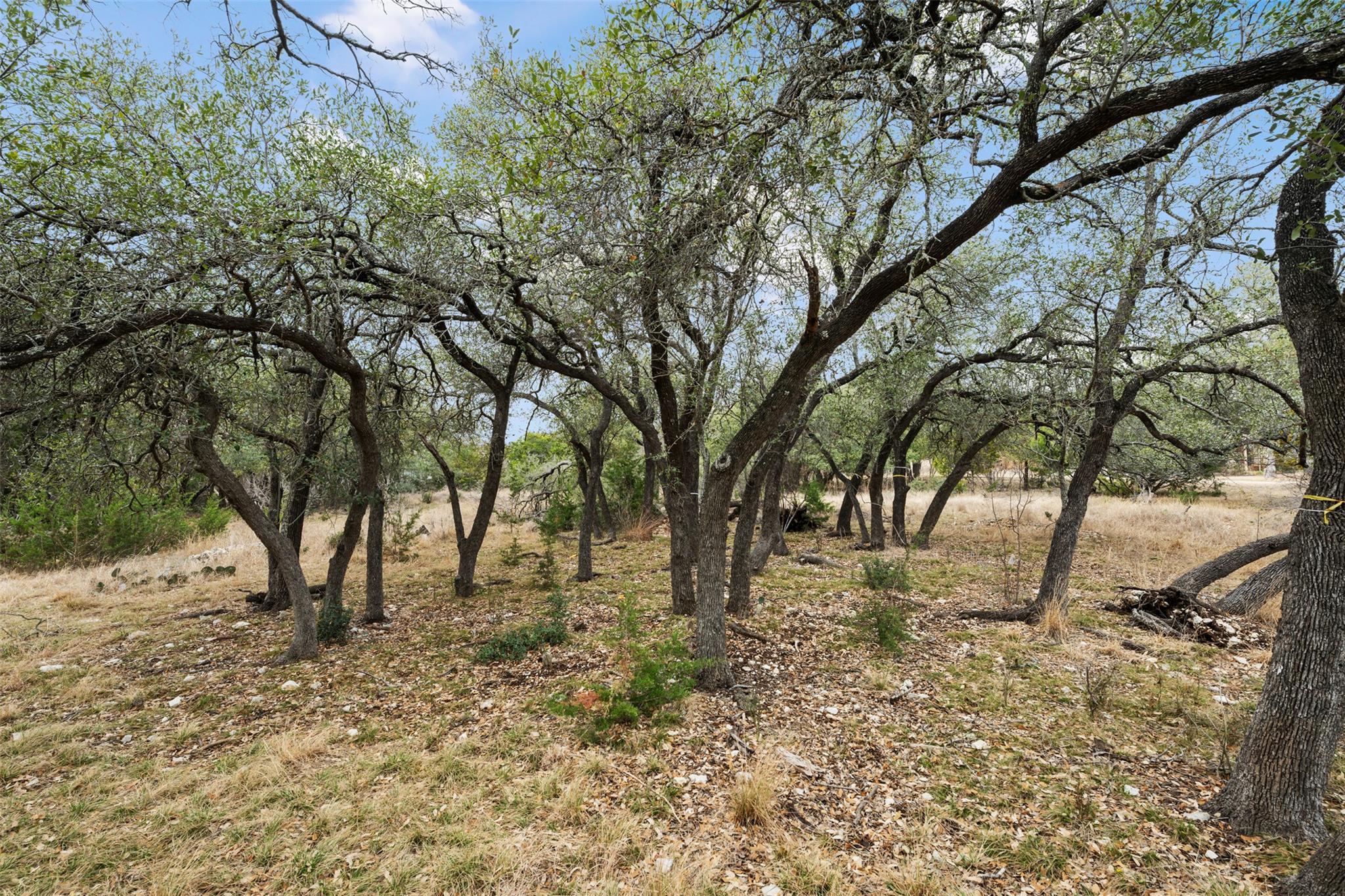 408 Ridge View Dr, Georgetown, TX 78628