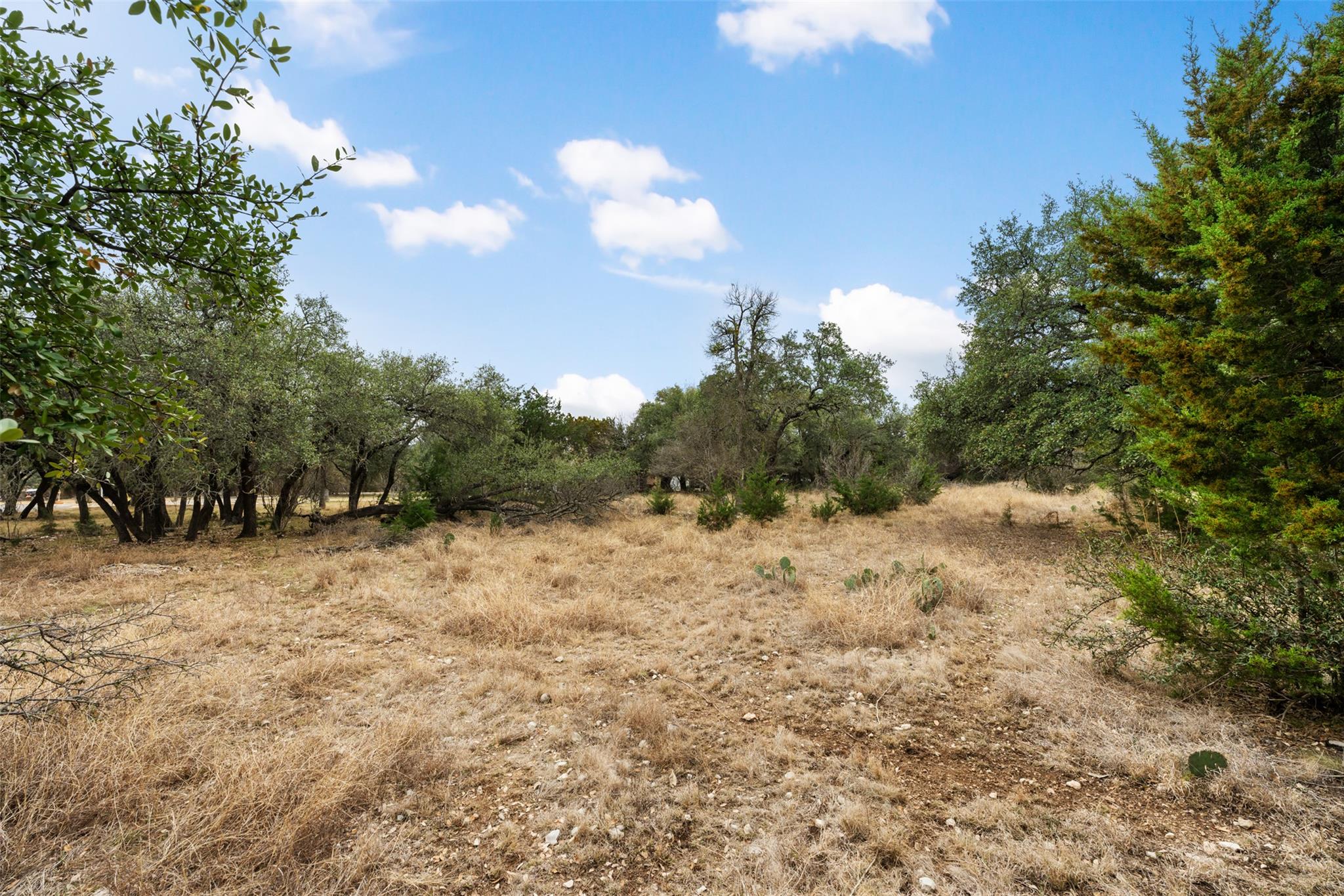 408 Ridge View Dr, Georgetown, TX 78628