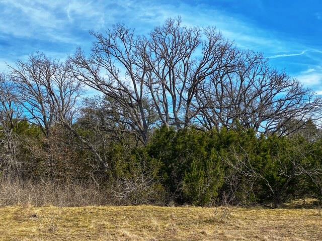 TBD 000 County Road 2699, Goldthwaite, TX 76853