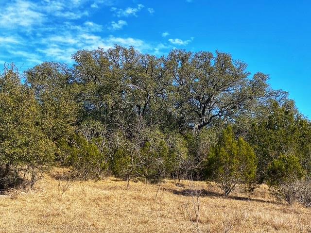 TBD 000 County Road 2699, Goldthwaite, TX 76853