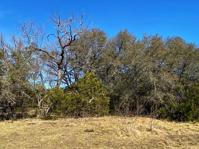 TBD 000 County Road 2699, Goldthwaite, TX 76853