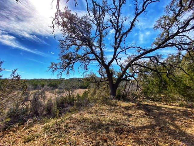 TBD 000 County Road 2699, Goldthwaite, TX 76853