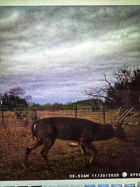 TBD 000 County Road 2699, Goldthwaite, TX 76853