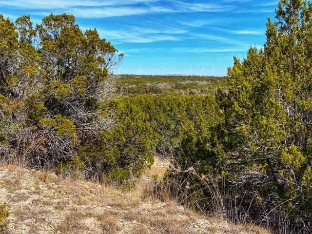 TBD 000 County Road 2699, Goldthwaite, TX 76853