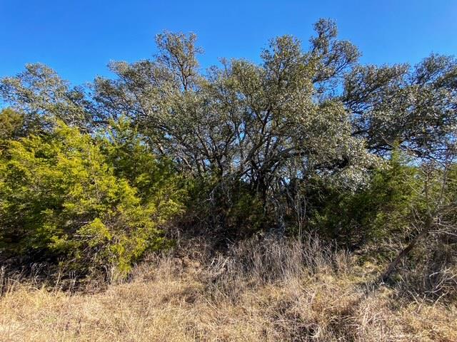 TBD 000 County Road 2699, Goldthwaite, TX 76853