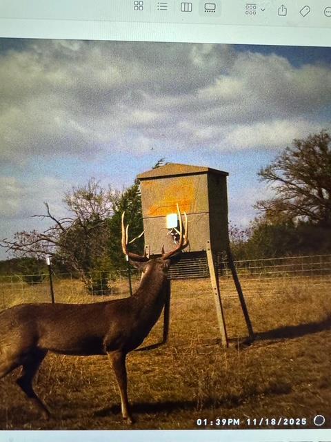 TBD 000 County Road 2699, Goldthwaite, TX 76853