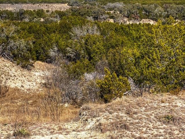 TBD 000 County Road 2699, Goldthwaite, TX 76853