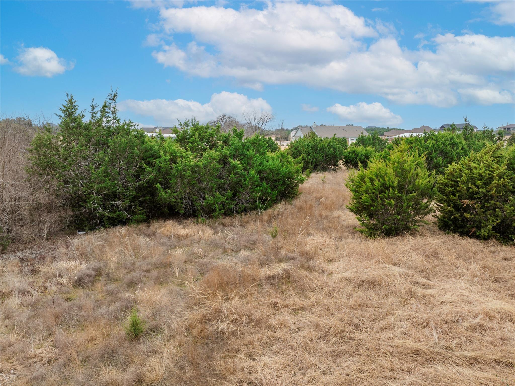 220 Lantana Bud Trl, Liberty Hill, TX 78642