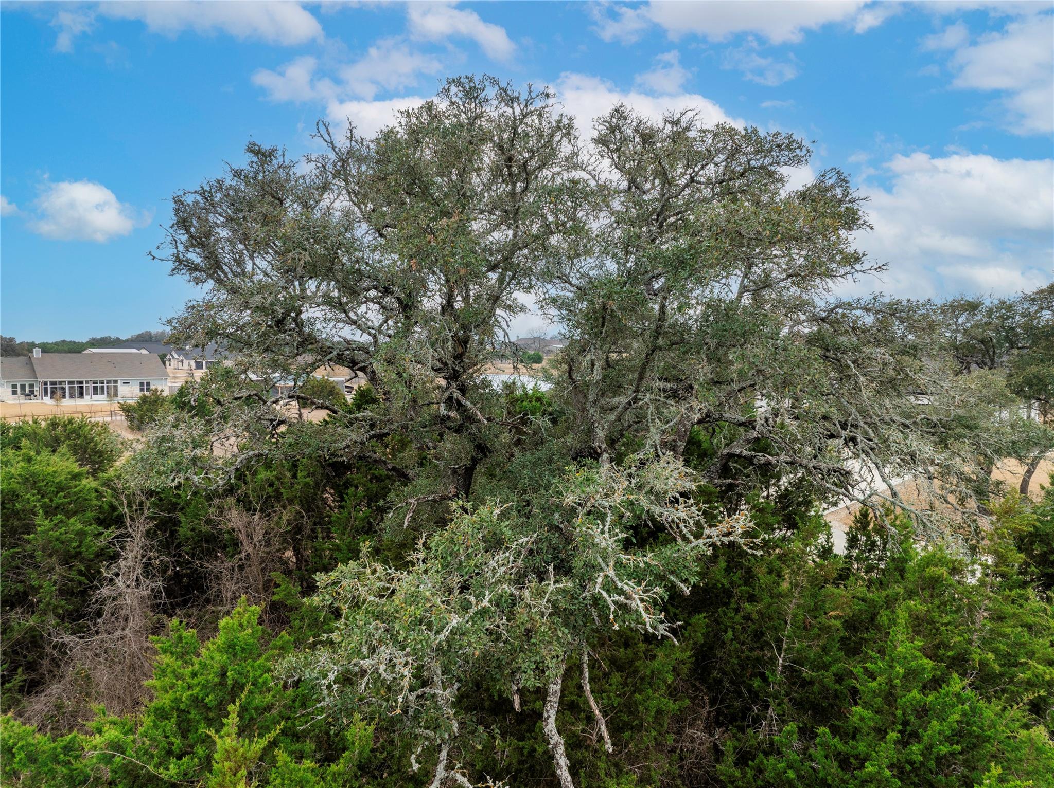 220 Lantana Bud Trl, Liberty Hill, TX 78642