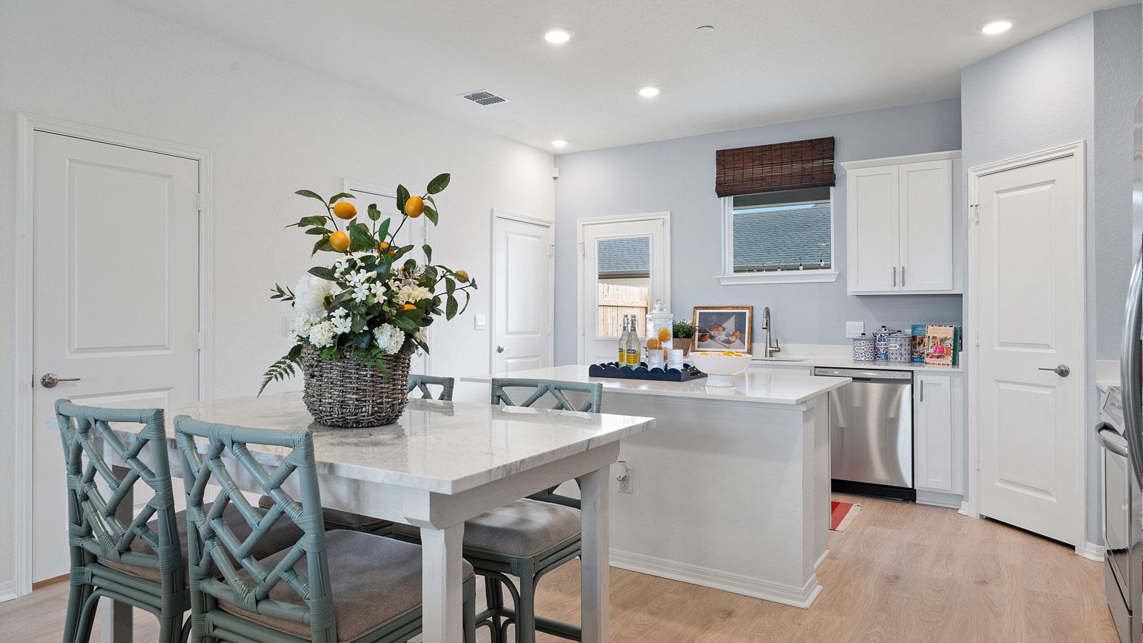 2523 Violet Theo Ln, Round Rock, TX 78665