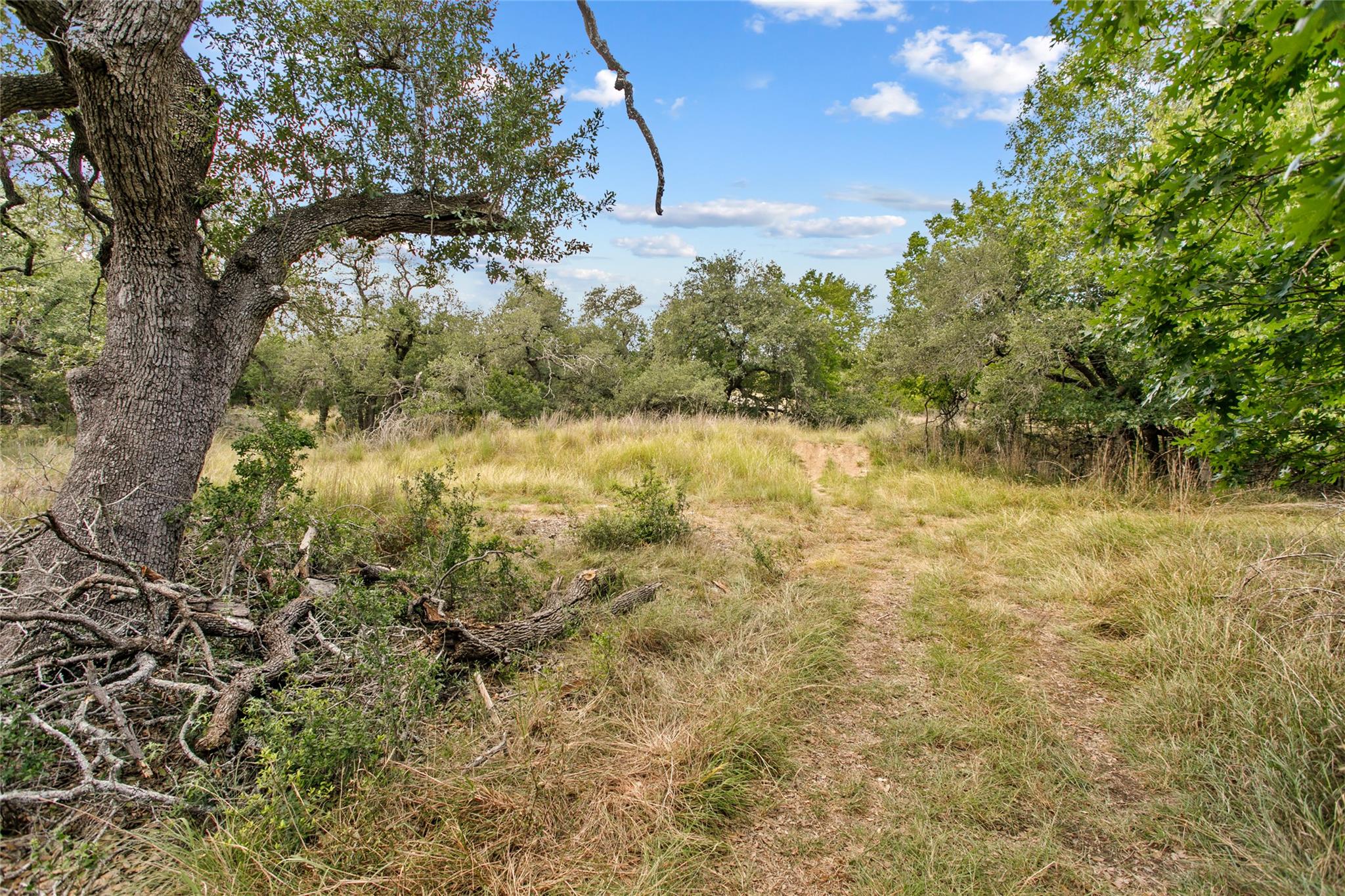 150 Oak Grove Dr, Dripping Springs, TX 78620