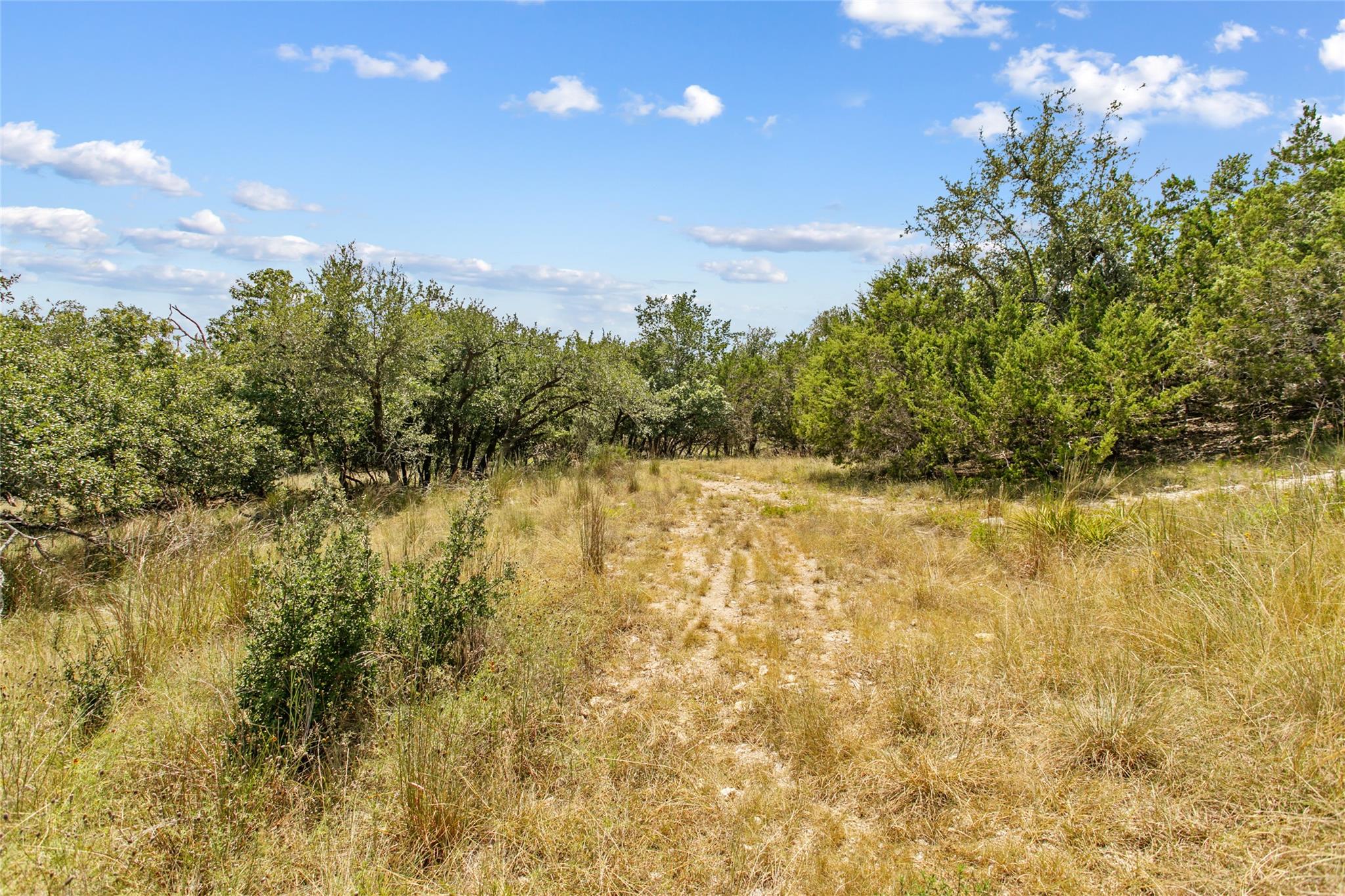 150 Oak Grove Dr, Dripping Springs, TX 78620