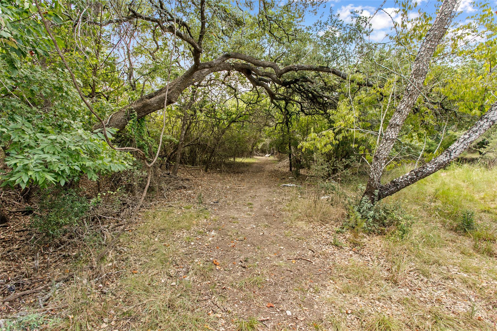 150 Oak Grove Dr, Dripping Springs, TX 78620