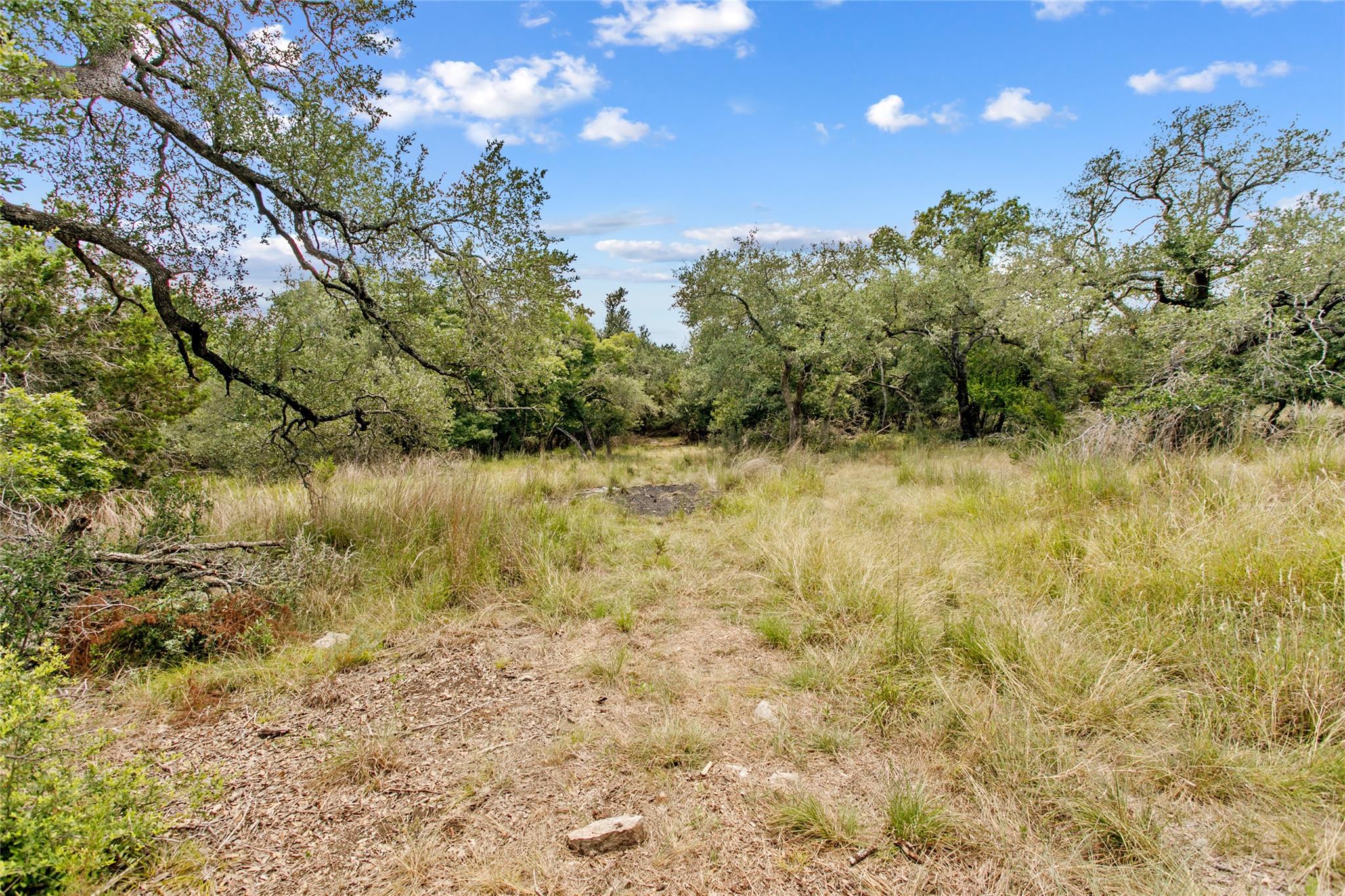 150 Oak Grove Dr, Dripping Springs, TX 78620