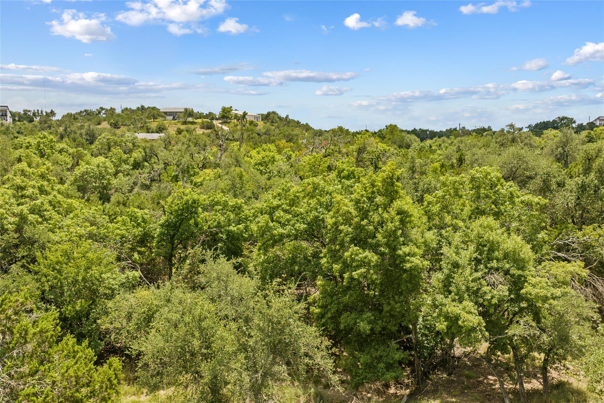 150 Oak Grove Dr, Dripping Springs, TX 78620