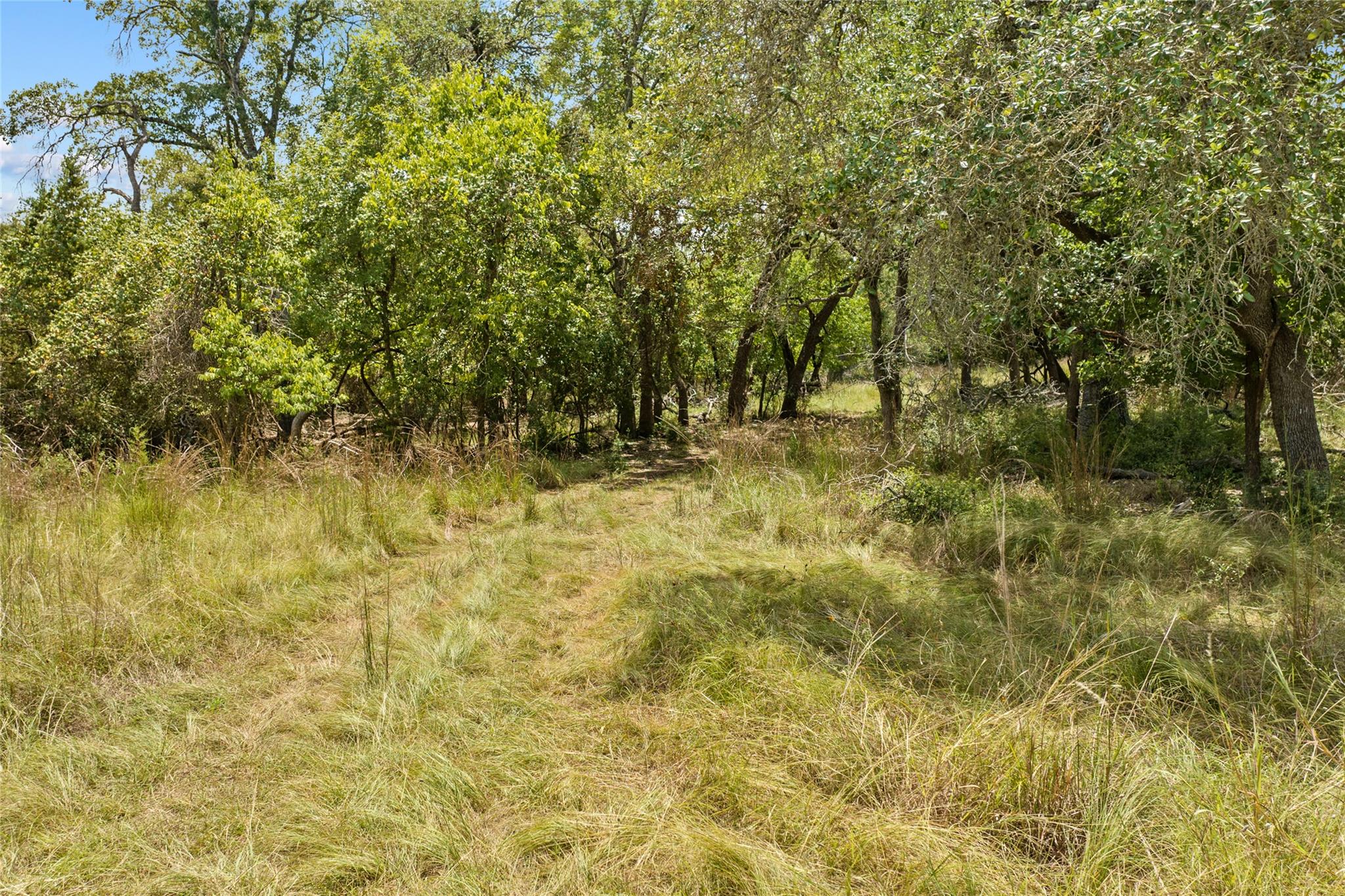 150 Oak Grove Dr, Dripping Springs, TX 78620