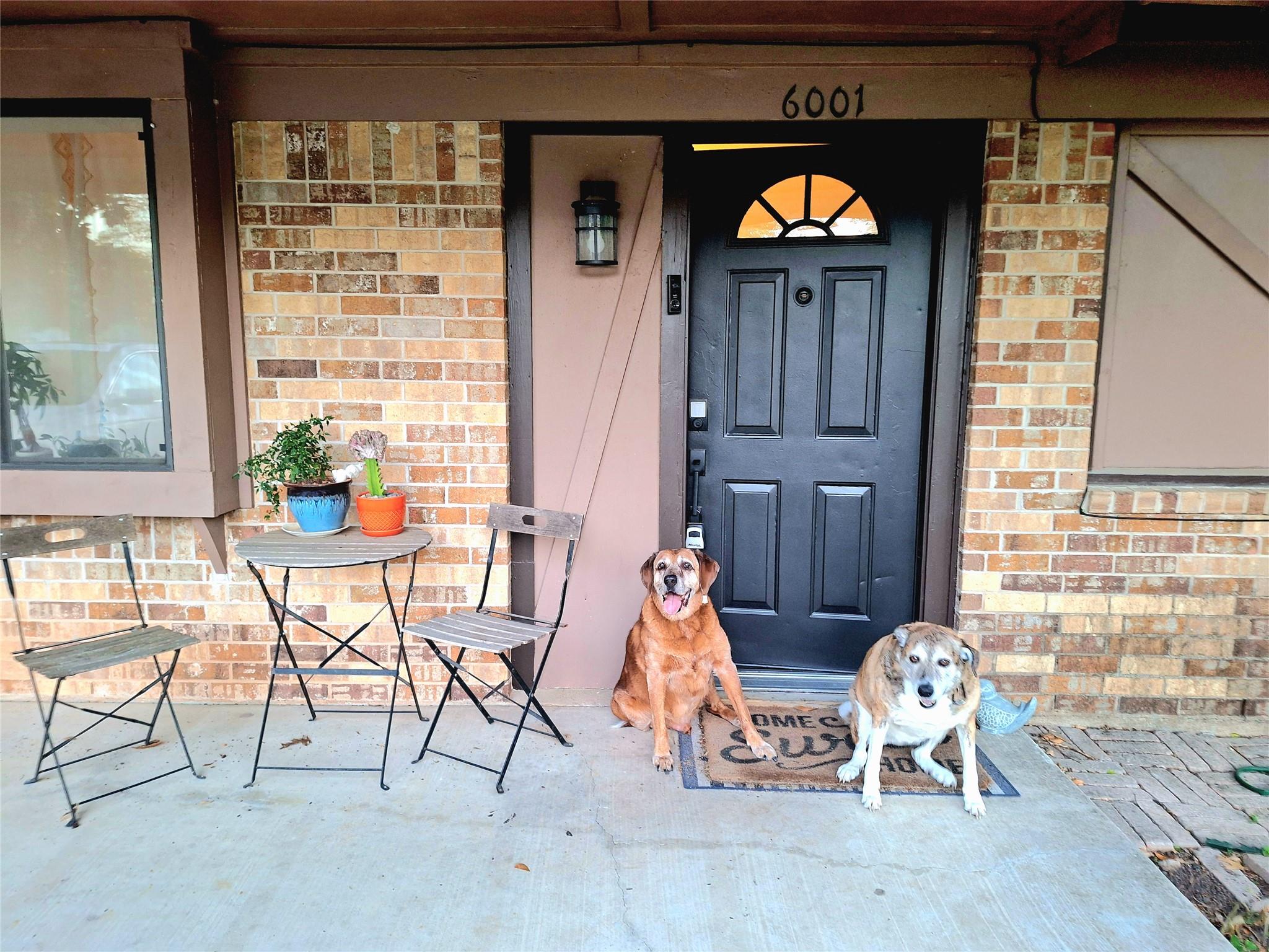 6001 Leisure Run Rd, Austin, TX 78745