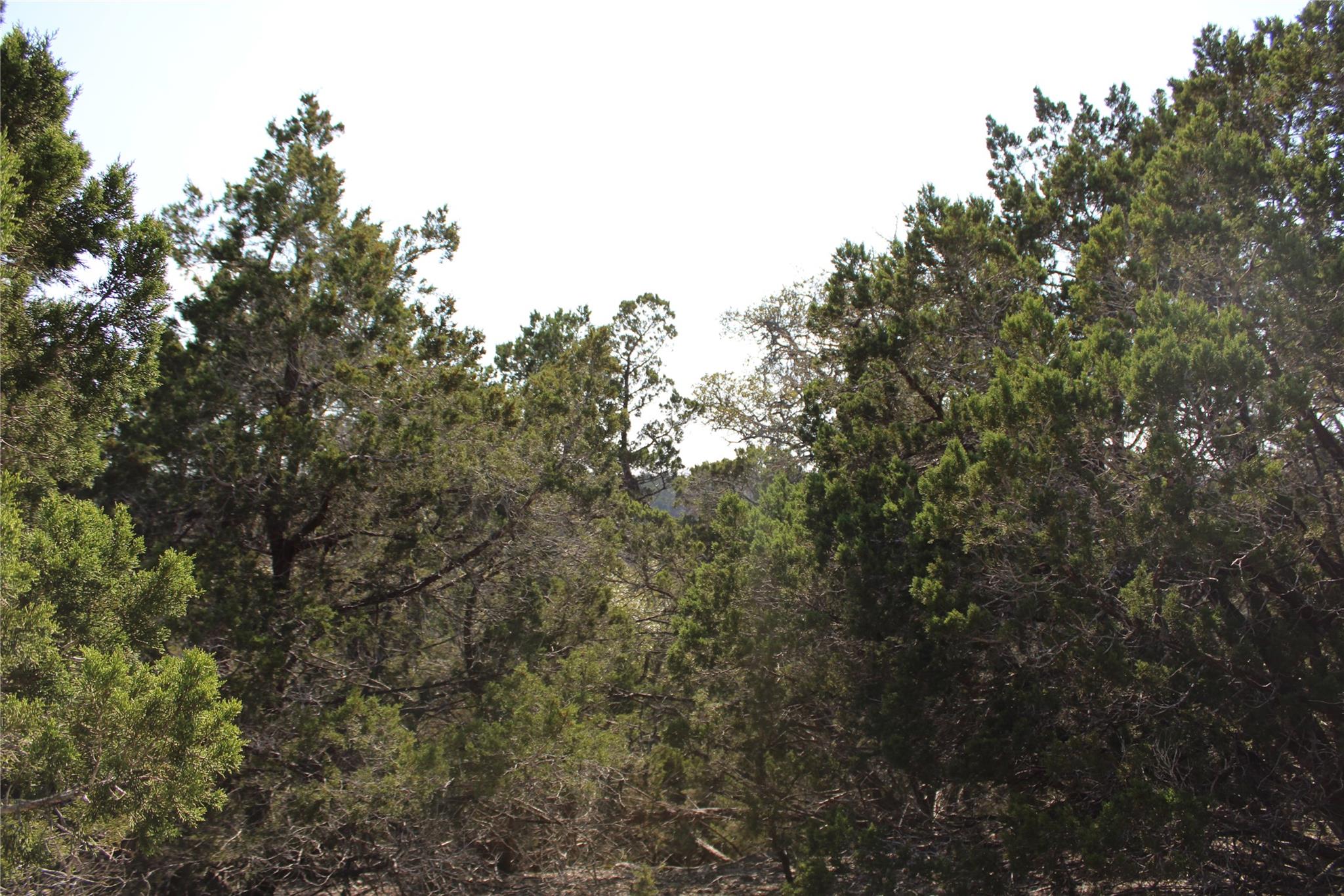 251 Serenity, Fischer, TX 78623