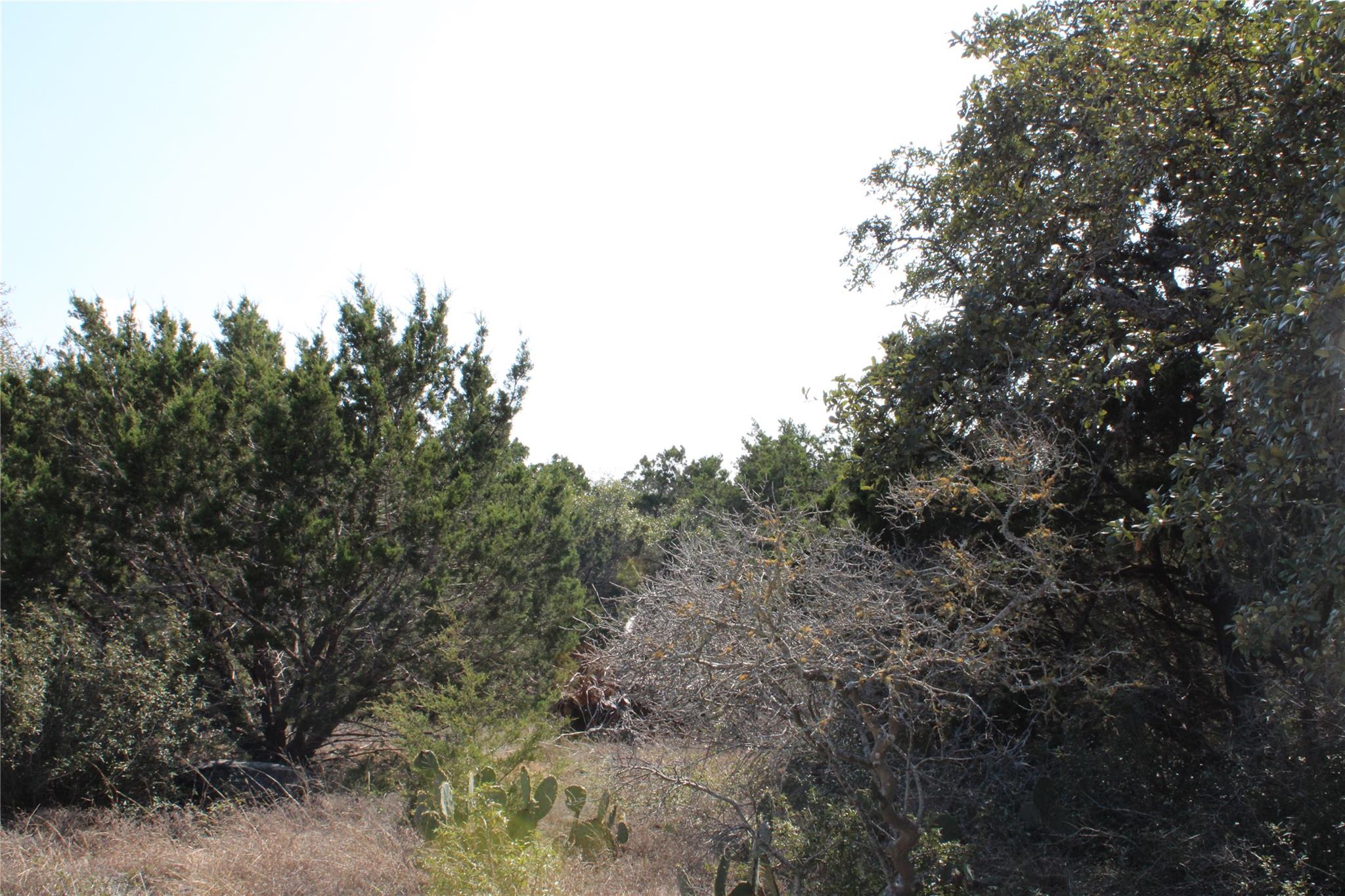 251 Serenity, Fischer, TX 78623