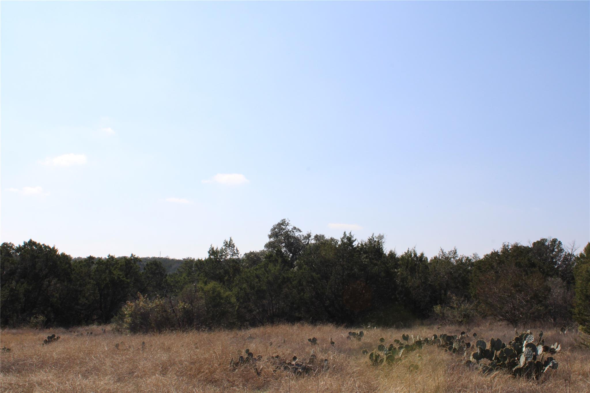 251 Serenity, Fischer, TX 78623