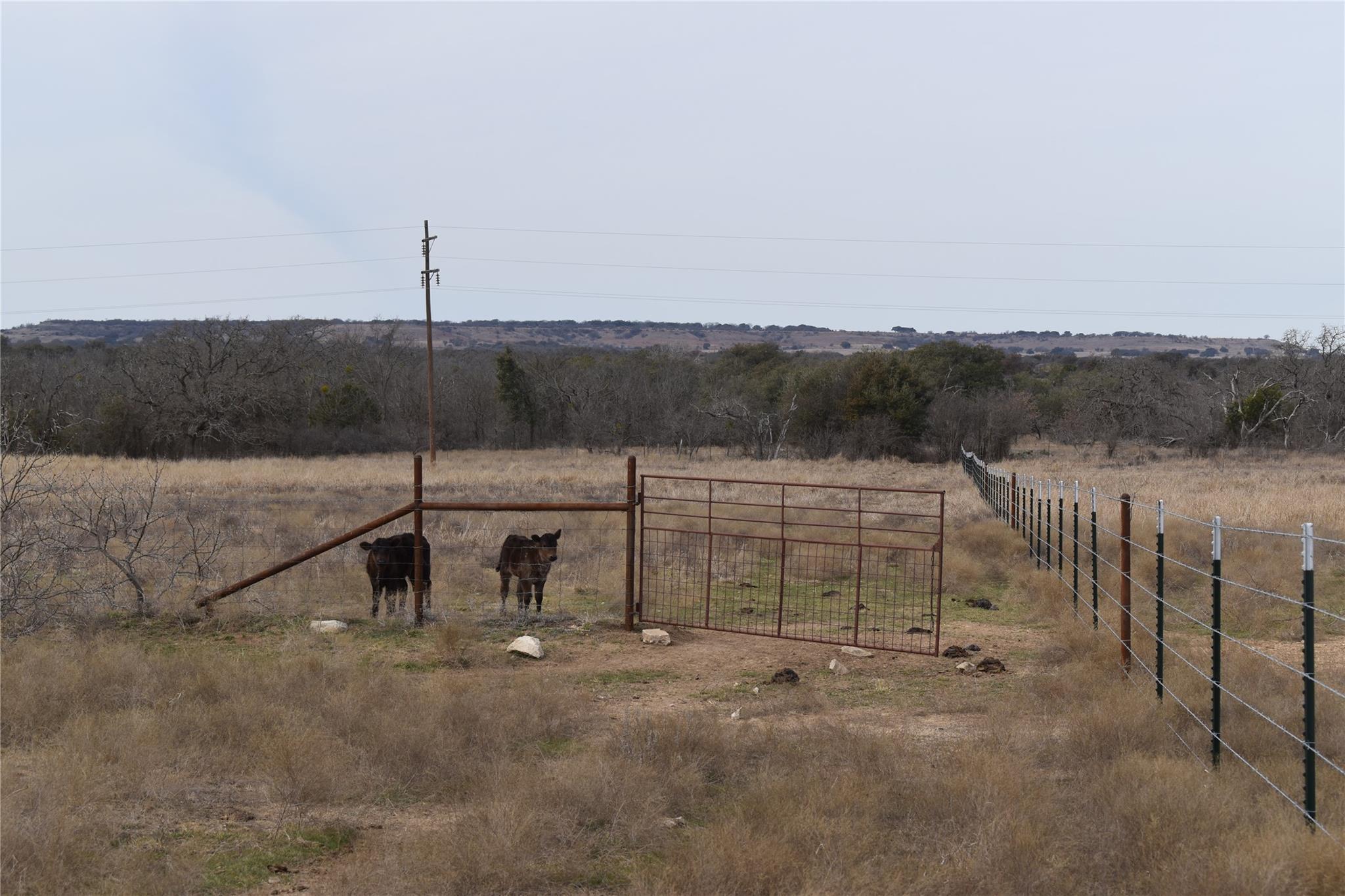 3619 N FM 1702, Hamilton, TX 76531