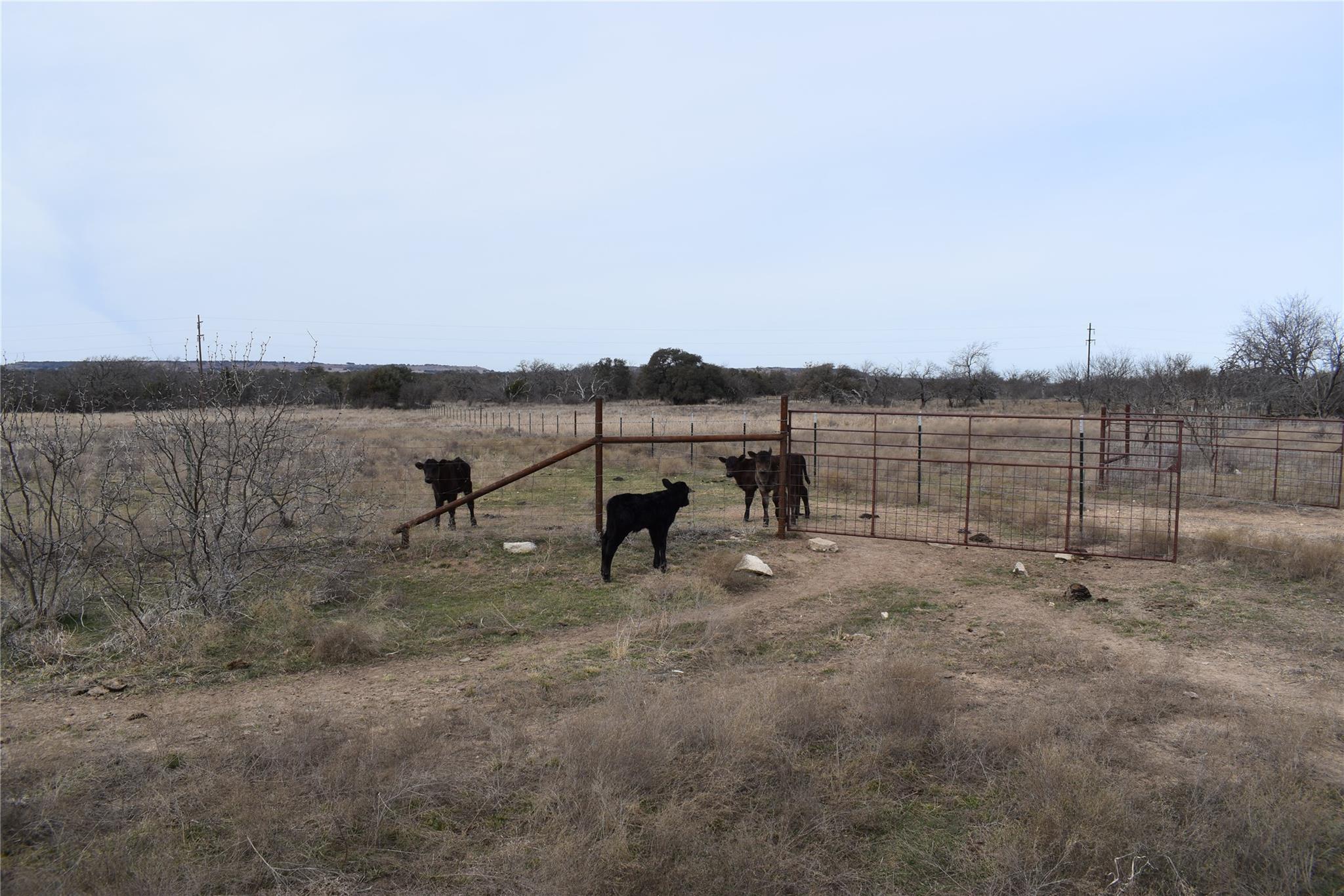 3619 N FM 1702, Hamilton, TX 76531