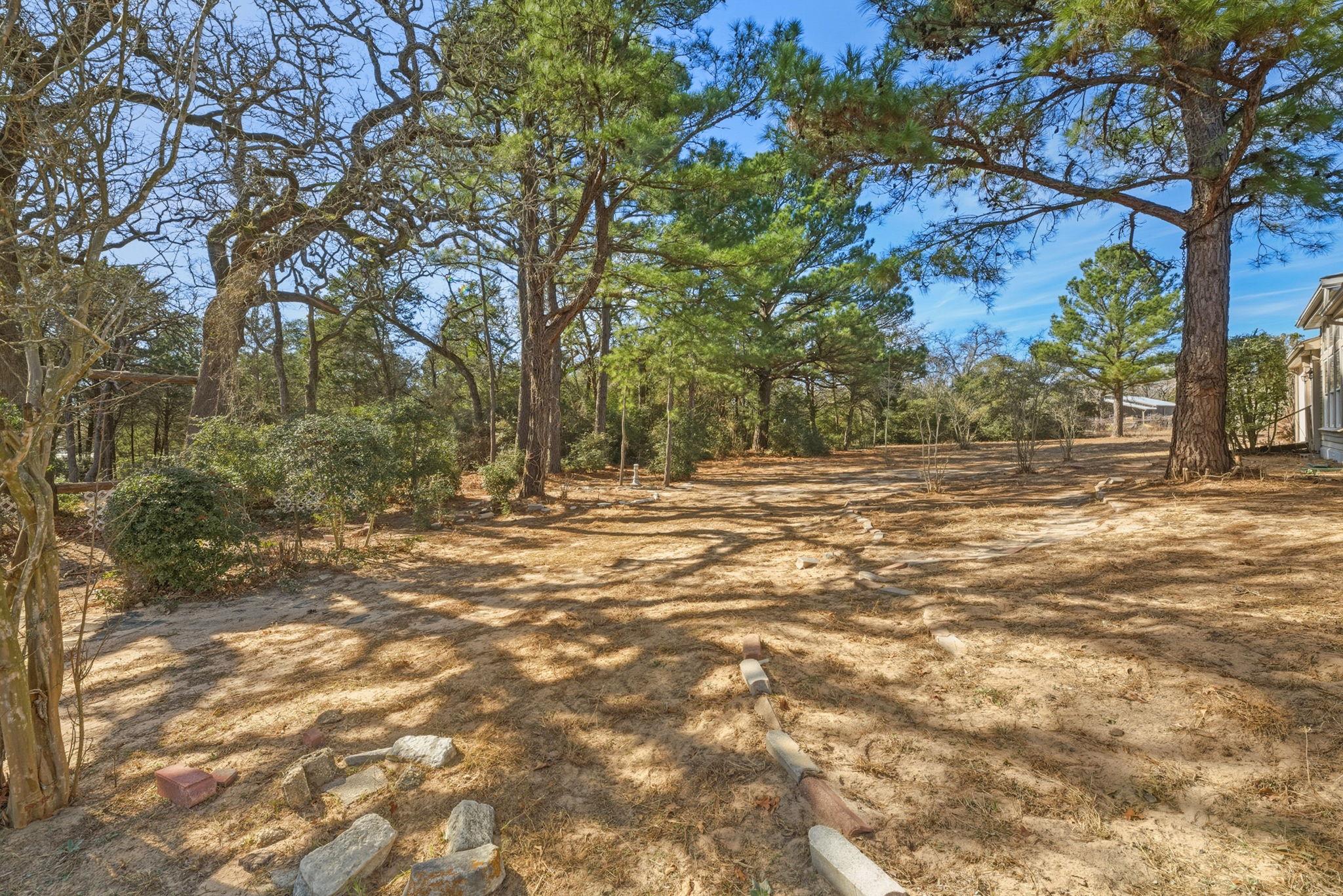 171 Mustang Dr, Paige, TX 78659